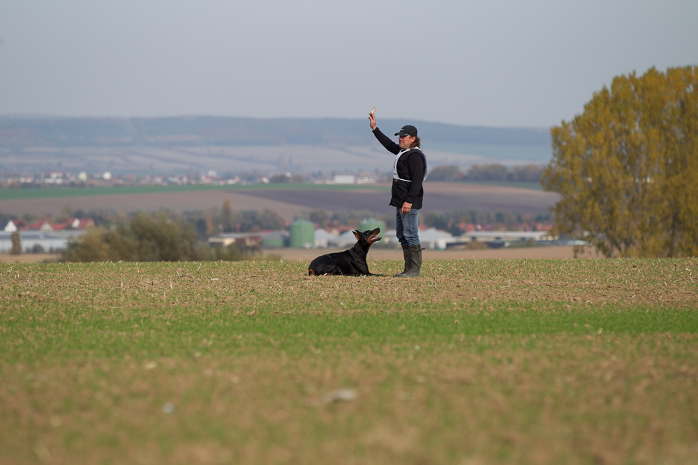 Frühjahrsprüfung DV Recklinghausen